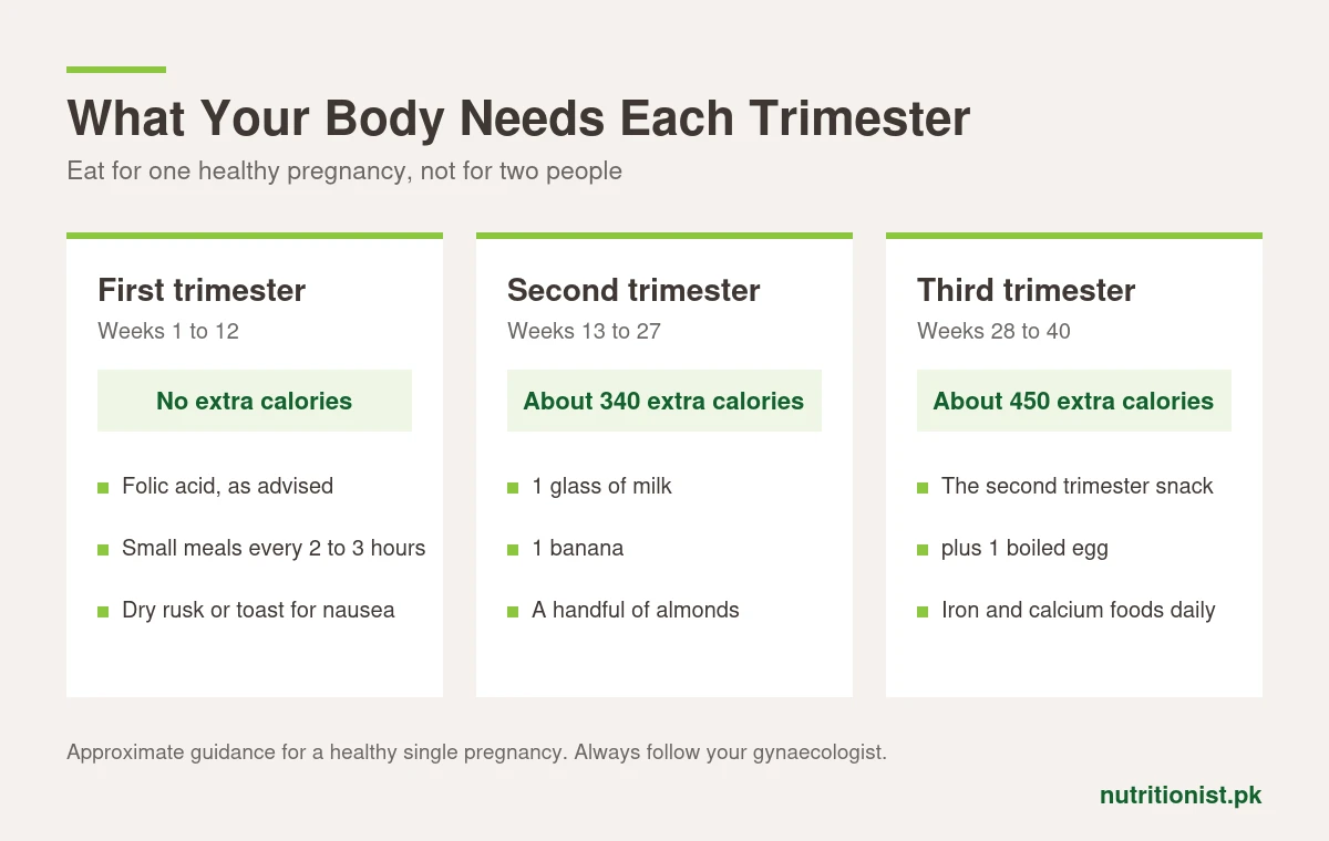 What your body needs each trimester of pregnancy: no extra calories in the first trimester, about 340 extra in the second and about 450 extra in the third