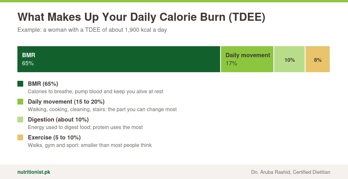 TDEE breakdown: BMR about 65 percent, daily movement 15 to 20 percent, digestion about 10 percent and exercise 5 to 10 percent